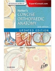 Netter&#039;s Concise Orthopaedic Anatomy, Updated Edition [해외주문도서]