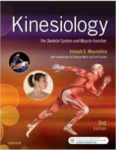Kinesiology: The Skeletal System and Muscle Function, 3ED